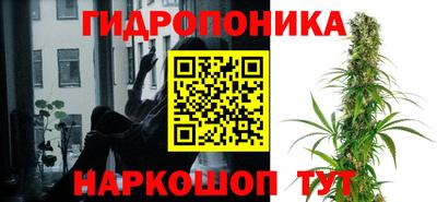 молекула духа Кулебаки