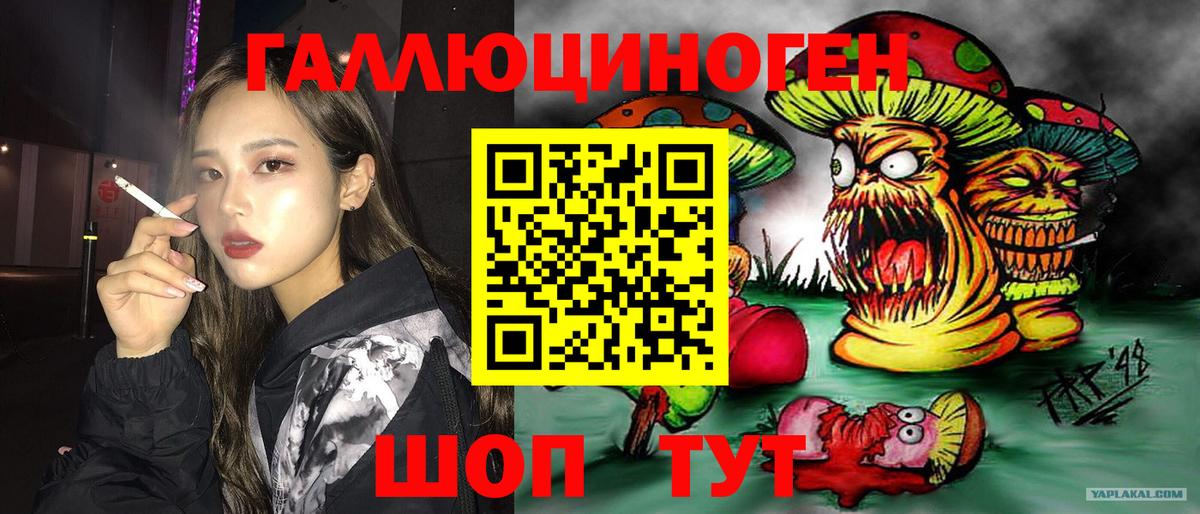 магазин продажи наркотиков  Вход с VPN  Донецк  Галлюциногенные грибы Psilocybine cubensis 